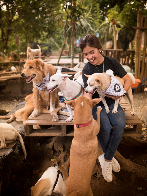 Pawssion Project Donation - The Collective